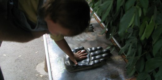 Why do human children stay so small for so long?