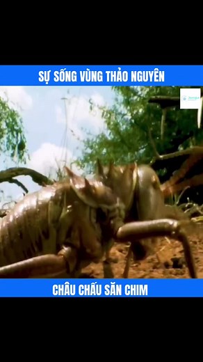 Exploring Insects: Unique Traits and Habitats