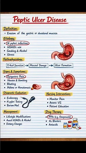 Peptic Ulcer Disease Explained | Causes, Symptoms, Diagnosis & Treatment #msn #nursingstudents