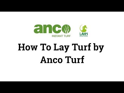How To Lay Turf - Step by Step Laying Turf Video by Anco Turf