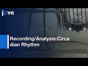 Circadian Rhythms: Running-wheel Activity (Rodents)-Preview