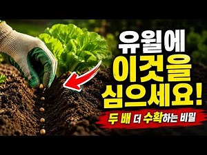 Plant This in June! The Secret to Doubling Your Garden Harvest