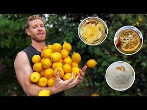 What To Do With THIS Many Lemons…