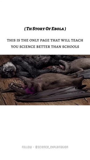 Science on Instagram: "Ebola is a rare but deadly viral disease first discovered in 1976 near the Ebola River in the Democratic Republic of Congo. The outbreak happened almost at the same time in Sudan and Congo. Scientists found that the virus spreads from wild animals (like fruit bats, monkeys, and apes) to humans and then from person to person through direct contact with blood, body fluids, or contaminated objects. Ebola causes high fever, severe weakness, bleeding, and often leads to death.