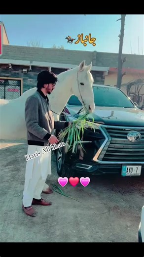 Haris Ali KhAn #7 #pakistan #fyp #Diamondpaints