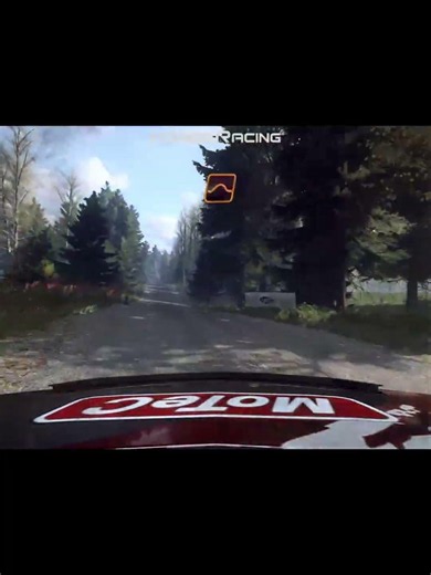 DiRT Rally 2.0 | Moments #26