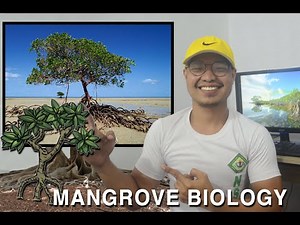 MANGROVES - Biology, Importance, and Adaptations