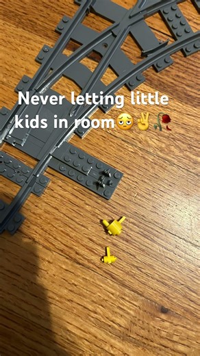 Warning you guys if you guys have Lego sets don’t let kid in
