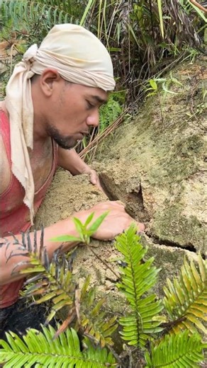 The process of finding gold | finding gold in bedrock fragments | finding gold nuggets worth $2500