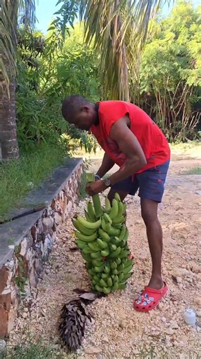 226 reactions · 72 comments | I am encouraging everyone to plant a...