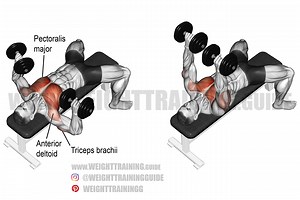 Dumbbell bench press exercise guide and video | Weight Training Guide