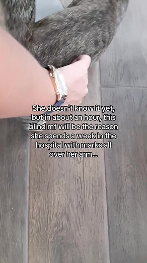 Understanding PTSD Through Cats: A Unique Perspective