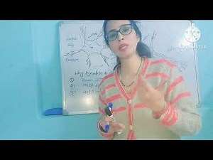 What is Synapse | Structure And Function | Easy Biology | Complete Explanation With Example