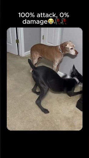 He did everything to avoid contact but still annoying him😭🥀🥀