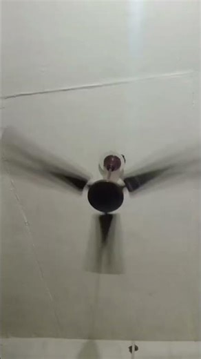 Gllosthy Ceiling Fan #shorts #fan #shortvideo #fansound #viralvideo