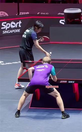 SET UP BET SANWEI T5000 pake karet mercury MOXA 2 mercury sidetape cocok buat penghobi pingpong Pemula #betsanwei #sanweit5000 #tenismeja #penghobipingpong #topspinid