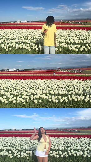 Wooden Shoe Tulip Festival: A Springtime Delight