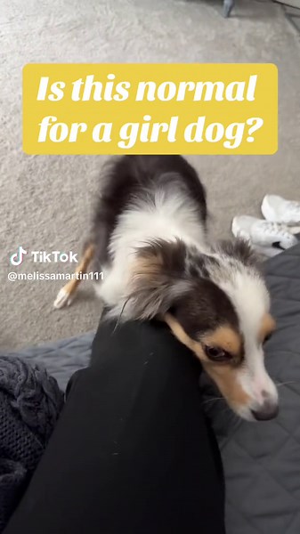 Melissa Martin on TikTok