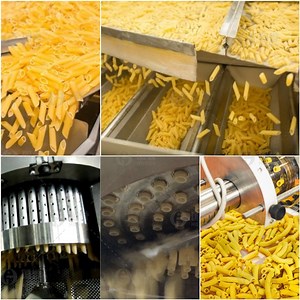 [Hot Item] Commercial Pasta Machine Pasta Extruder Machine Stainless Steel Pasta Extruder Machine