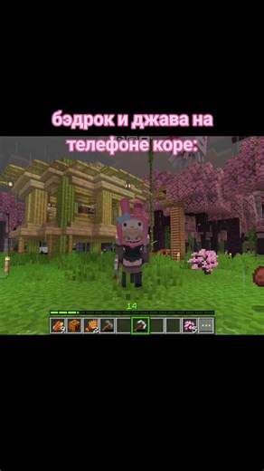 Minecraft Bedrock and Java on Mobile Devices