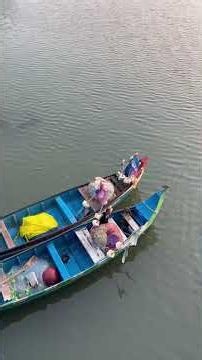 PERJALANAN IKAN DARI LAUT SAMPAI MEJA MAKAN !?