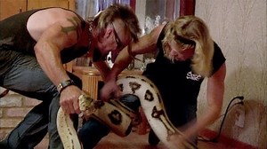 Watch Billy the Exterminator Season 6 Episode 10 - Feathers and Fangs