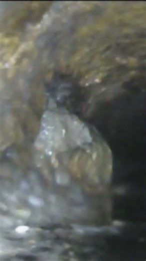 Sewer Line Camera Inspection #plumbing #plumber #sewerinspection #draincleaning #drainageproblems