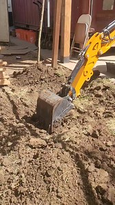 Tree removal #excavator #fastconstructioninc #homecontainer #fastconstruction @highlight | Cesar MP