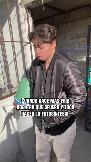 Cuando hace frío y toca hacer fotosíntesis