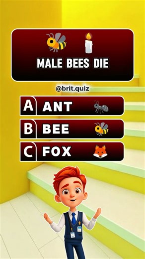 You Have 5 Seconds to Answer ⏳#quiztime #fastquiz #quizchallenge #brainteaser #mindgame