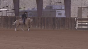 5.2K views · 88 reactions | There are many benefits to counter cantering, especially on a green horse. Bud Lyon Performance Horses explains those benefits and demonstrates how to teach a green horse the counter canter. - To watch the full video, check out "Green Horse: Counter Canter" on Ondemand.HorseandRider.com when you sign up for a 7-day free trial! | Horse & Rider Magazine | Facebook