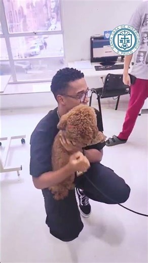 Cães terapeutas visitam os pacientes da Santa Casa SP