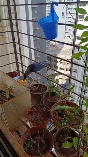 👍👍👍🐧🐧🐧❤❤❤😘