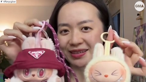 How to tell the difference between a Labubu and a Lafufu