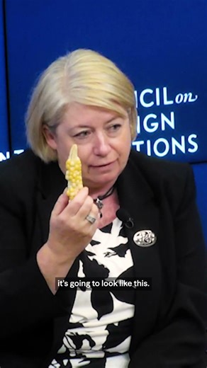 Adaptation is needed to avoid a future corn crisis