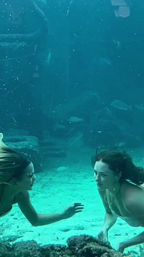 Hilarious Mermaid Jokes at the Aquarium