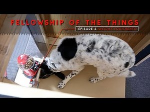 SparkFun Fellowship of the Things #2 - Weight for Treats