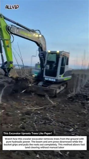 This Excavator Uproots Trees Like Paper! Heavy Equipment in Action