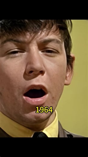 The House of the Rising Sun - The Animals Live Performance