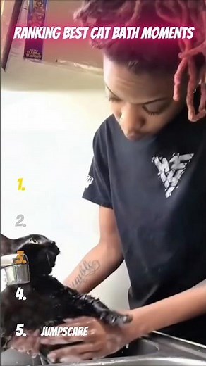 Funniest Cat Bath Moments Ever 😹🛁