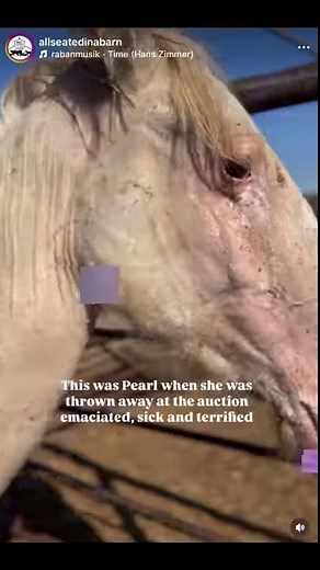 147K views · 2.1K reactions | Sweet Evelyn Update ❤️ She was tagged...