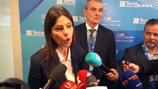 Terna, piano da 23 miliardi per la rete elettrica