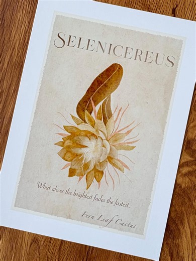 Fern Leaf Cactus (selenicereus) Botanical, Spiritual Art Print - Etsy