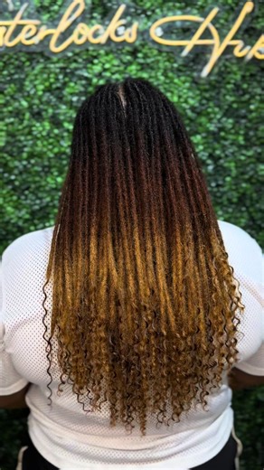 Curly Human Hair Locs - Benefits and Booking Info