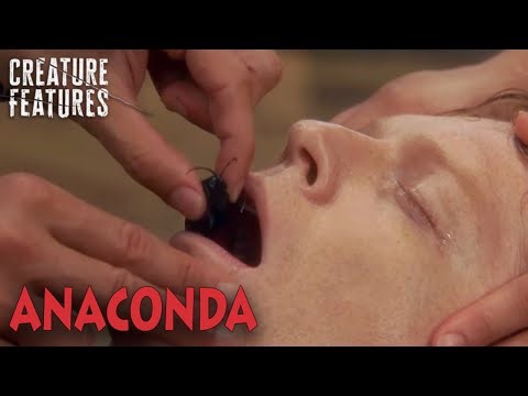 Deadly Wasp's Venom Paralyzes Steven | Anaconda (1997) | Creature Features