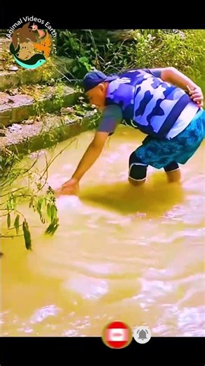 Headless Fish Still Alive 😱 Shocking Natural Mystery Caught on Camera