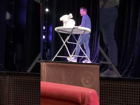 Carnival Cruise Towel Demo