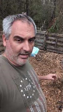 How I compost in the winter, and adding cut potatoes to the compost pile.