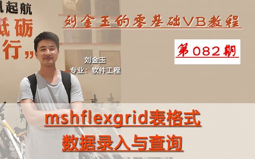 零基础VB教程082期：mshflexgrid表格式数据录入与查询