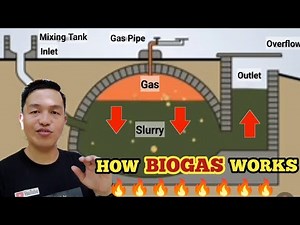 HOW BIOGAS WORKS | PIGGERY WASTE MANAGEMENT | BIOGAS PLANT